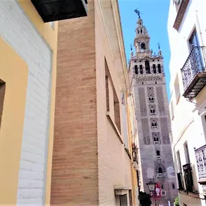 ¡en Frente De La Giralda-catedral! Sevilla
